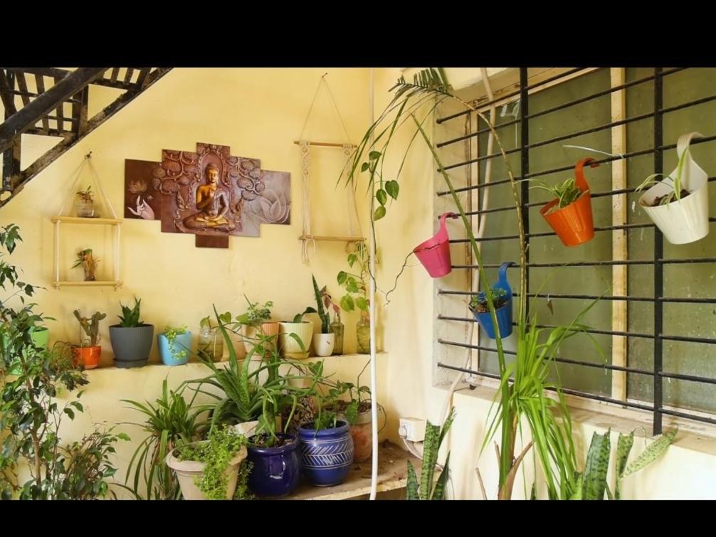 Shree Vinayak Guest House Udždžain Exteriér fotografie